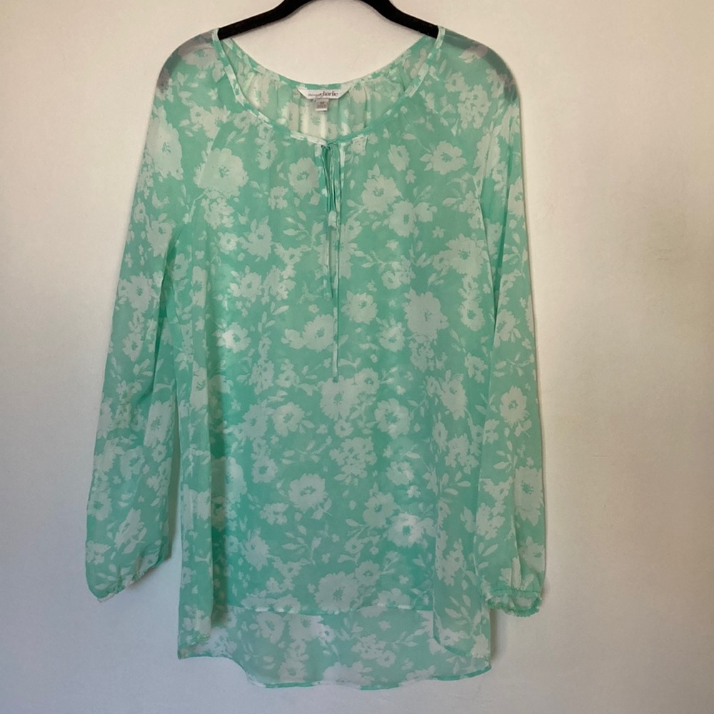 Charming Charlie long sleeve sheer blouse